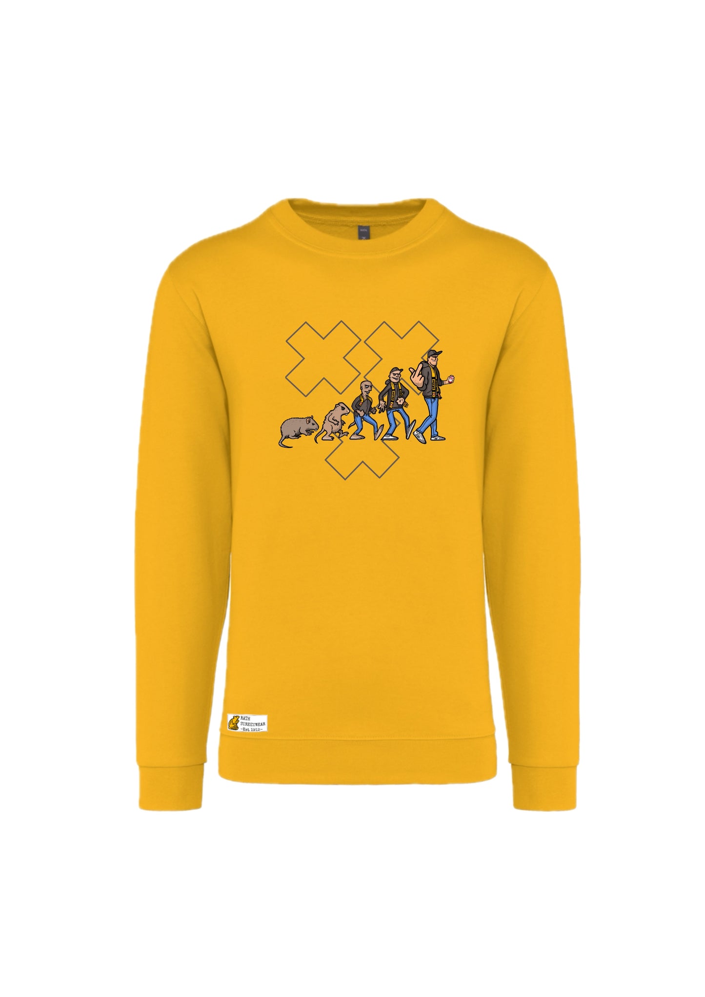 EVOLUTION OF THE RATH